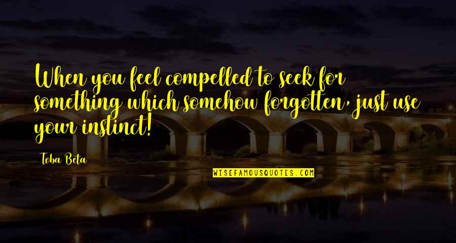 Lodioverhaul Quotes By Toba Beta: When you feel compelled to seek for something