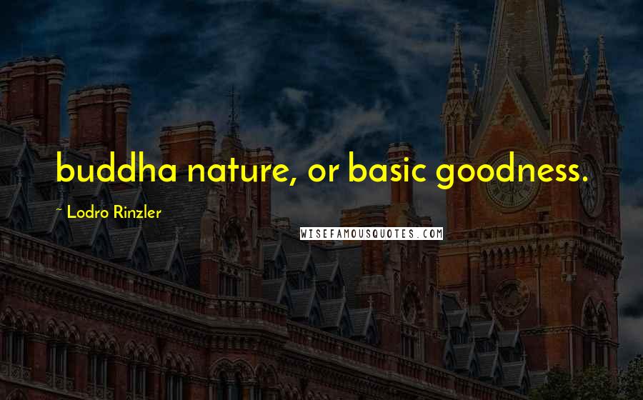 Lodro Rinzler quotes: buddha nature, or basic goodness.