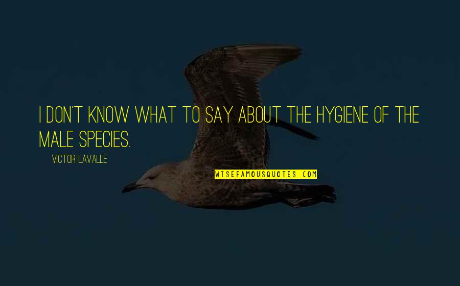 Loeber Motors Quotes By Victor LaValle: I don't know what to say about the