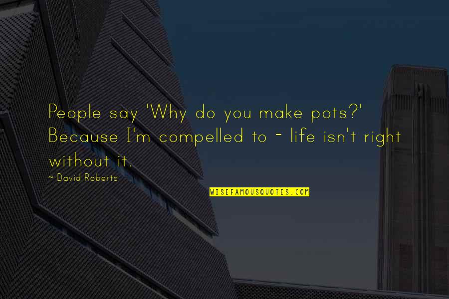 Loftiness Quotes By David Roberts: People say 'Why do you make pots?' Because Loftiness Quotes By David Roberts: People say 'Why do you make pots?' Because