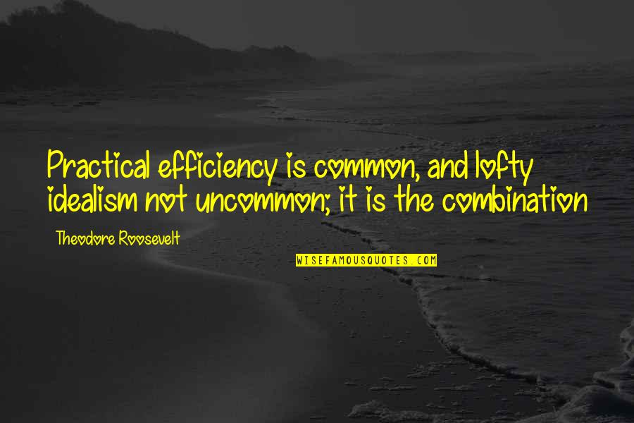 Lofty Quotes By Theodore Roosevelt: Practical efficiency is common, and lofty idealism not