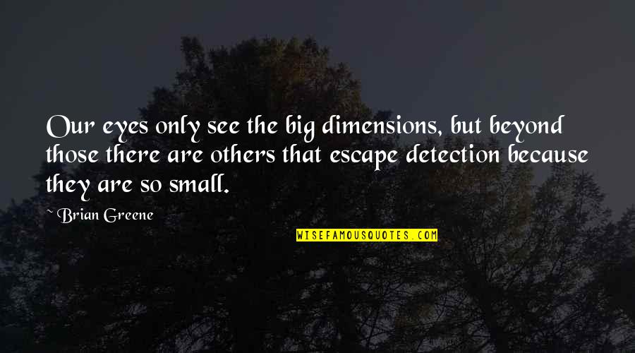 Log And Speck In Eye Quotes By Brian Greene: Our eyes only see the big dimensions, but Log And Speck In Eye Quotes By Brian Greene: Our eyes only see the big dimensions, but