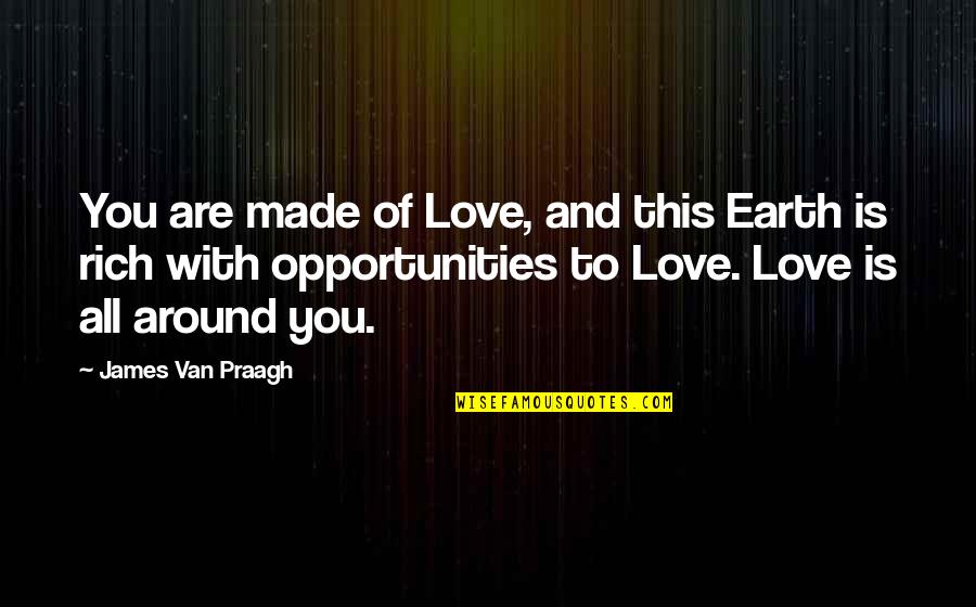Log Cabins Quotes By James Van Praagh: You are made of Love, and this Earth