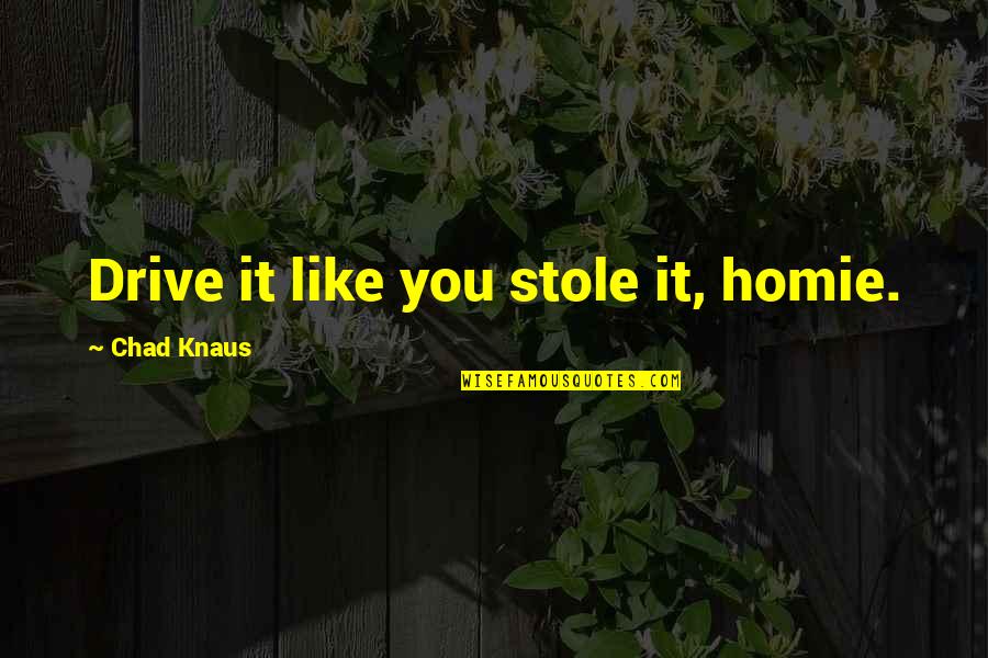 Log In Urdu Quotes By Chad Knaus: Drive it like you stole it, homie. Log In Urdu Quotes By Chad Knaus: Drive it like you stole it, homie.