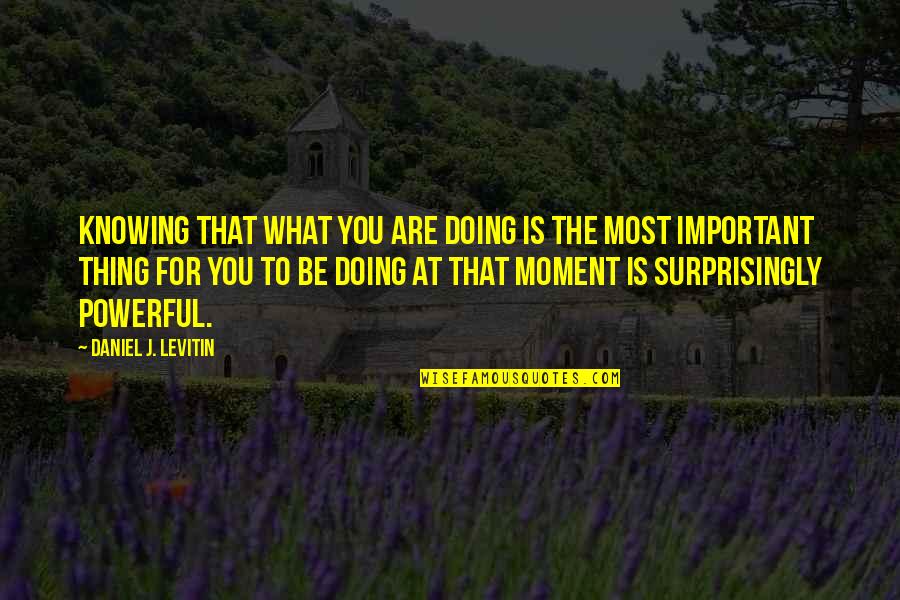 Logan Kade Quotes By Daniel J. Levitin: Knowing that what you are doing is the