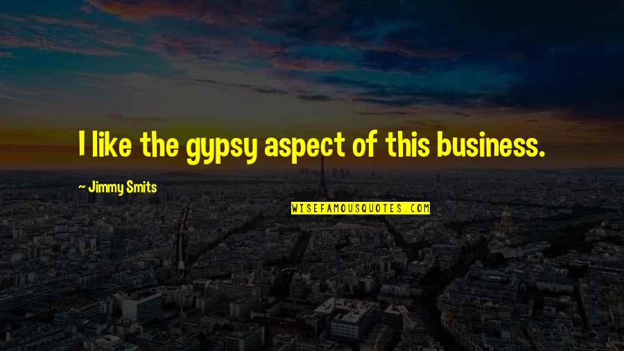 Logarithm Quotes By Jimmy Smits: I like the gypsy aspect of this business.