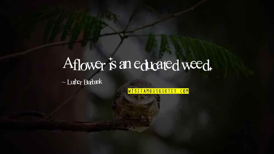 Logbooks Radio Quotes By Luther Burbank: A flower is an educated weed. Logbooks Radio Quotes By Luther Burbank: A flower is an educated weed.