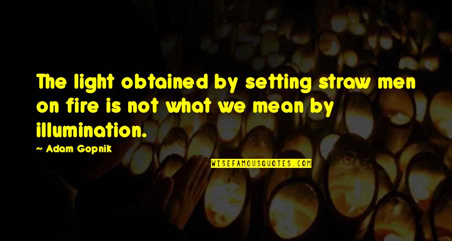 Logic Reason Quotes By Adam Gopnik: The light obtained by setting straw men on