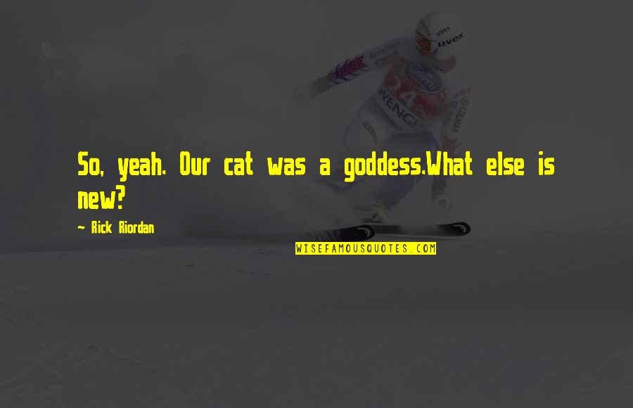 Logische Functies Quotes By Rick Riordan: So, yeah. Our cat was a goddess.What else