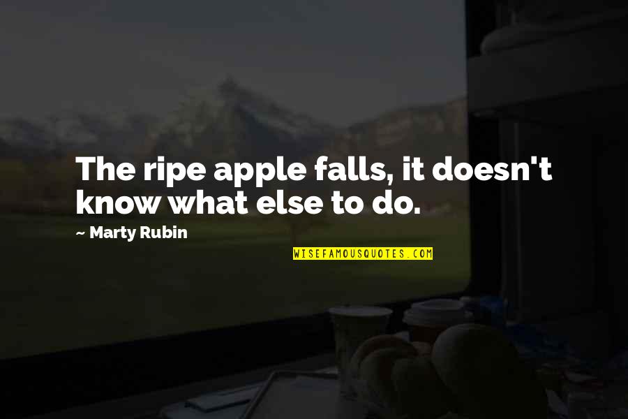 Logo Designer Quotes By Marty Rubin: The ripe apple falls, it doesn't know what
