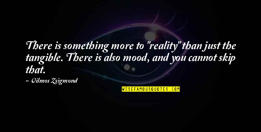 Logomania Shine Quotes By Vilmos Zsigmond: There is something more to "reality" than just