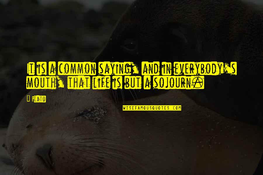 Logon Ki Fitrat Quotes By Plato: It is a common saying, and in everybody's