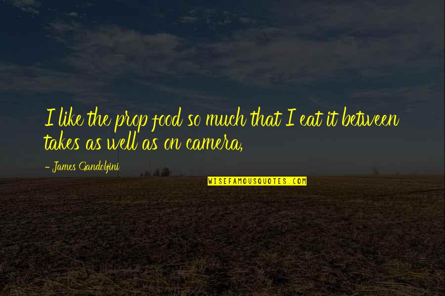 Lograsso Iluminacion Quotes By James Gandolfini: I like the prop food so much that