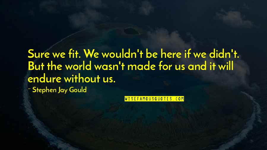 Logres Stories Quotes By Stephen Jay Gould: Sure we fit. We wouldn't be here if Logres Stories Quotes By Stephen Jay Gould: Sure we fit. We wouldn't be here if