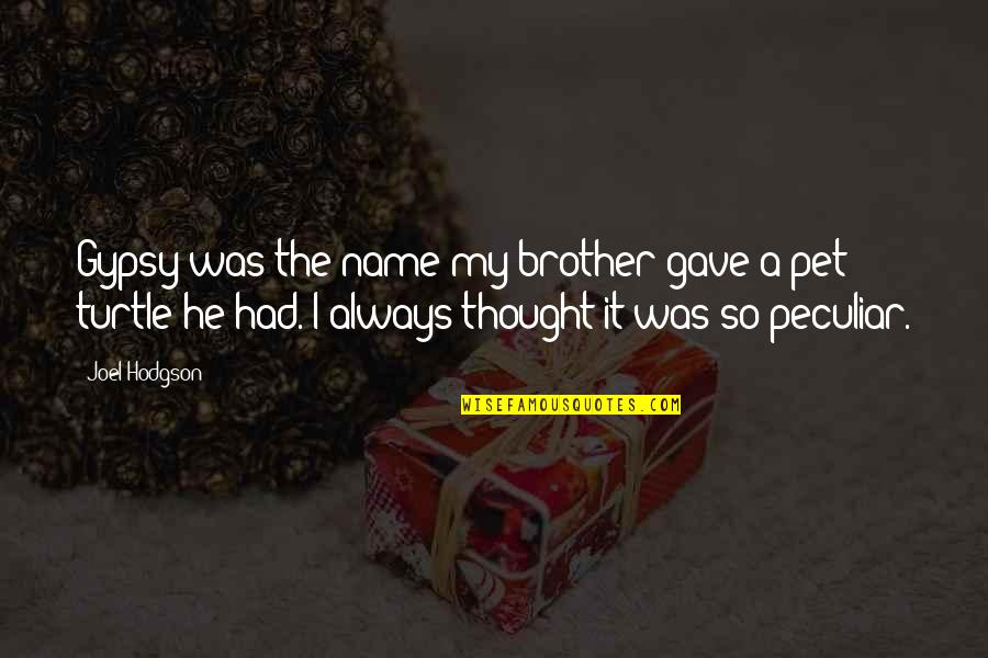 Lohans Giving Quotes By Joel Hodgson: Gypsy was the name my brother gave a Lohans Giving Quotes By Joel Hodgson: Gypsy was the name my brother gave a