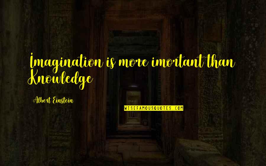 Lois Lane And Clark Kent Quotes By Albert Einstein: Imagination is more imortant than Knowledge Lois Lane And Clark Kent Quotes By Albert Einstein: Imagination is more imortant than Knowledge