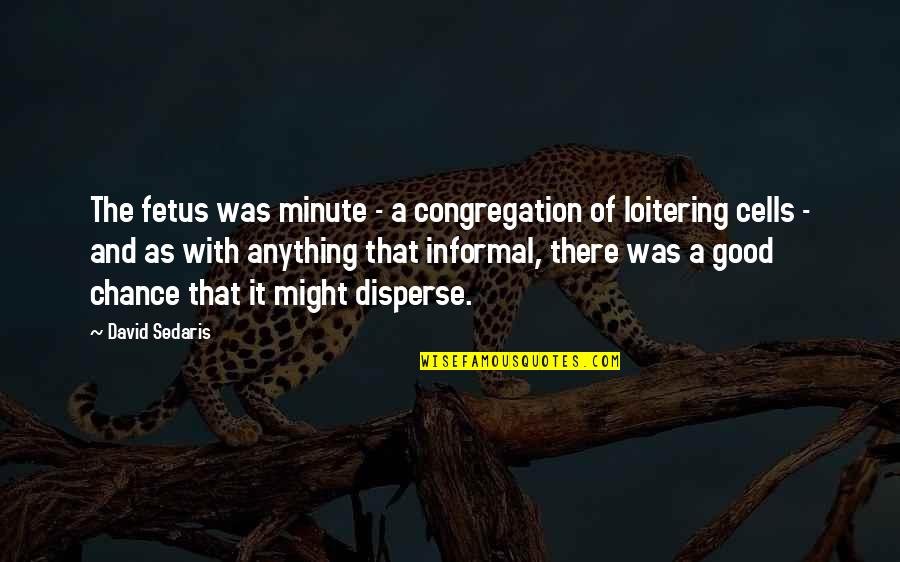 Loitering Quotes By David Sedaris: The fetus was minute - a congregation of