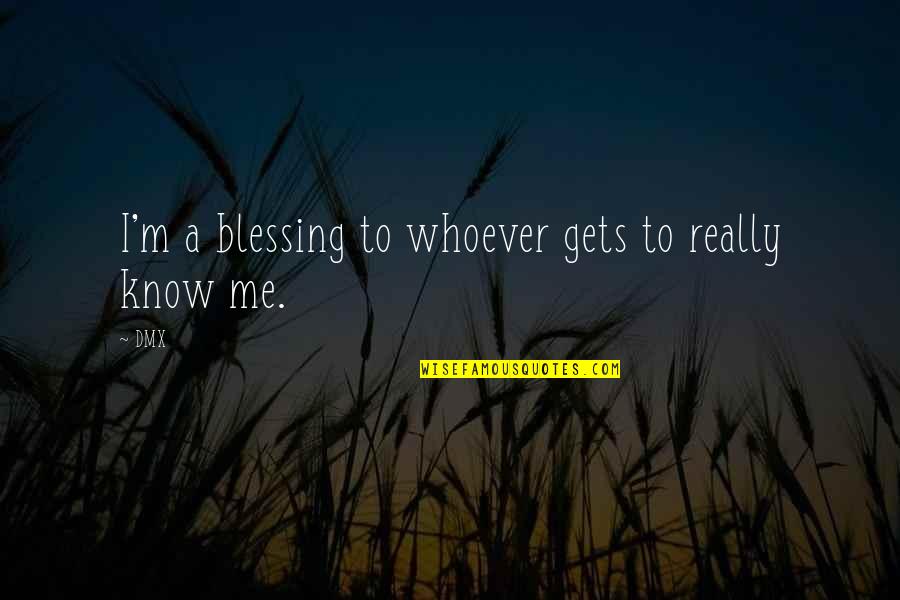 Loitzk Quotes By DMX: I'm a blessing to whoever gets to really