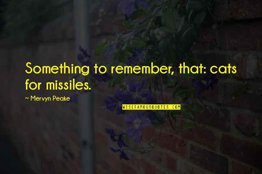 Lojas Americanas Quotes By Mervyn Peake: Something to remember, that: cats for missiles.