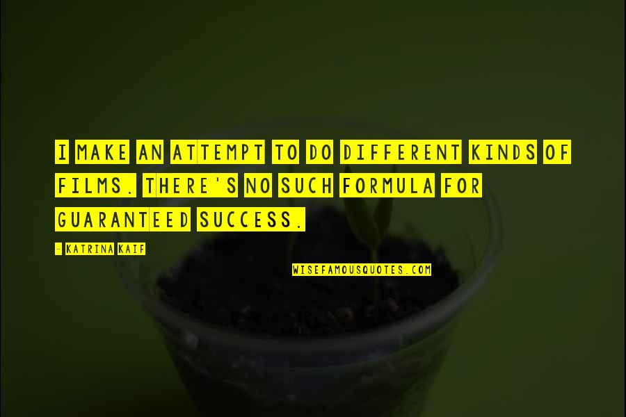 Loki Odin Quotes By Katrina Kaif: I make an attempt to do different kinds Loki Odin Quotes By Katrina Kaif: I make an attempt to do different kinds