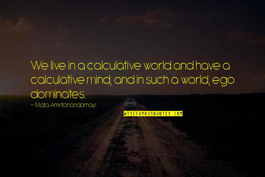 Lol Cat Quotes By Mata Amritanandamayi: We live in a calculative world and have