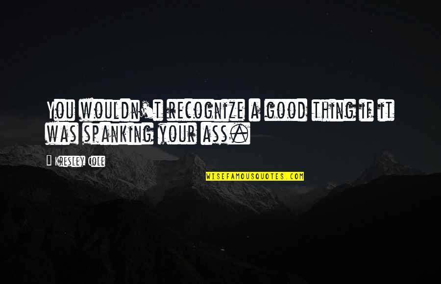 Lol Quotes By Kresley Cole: You wouldn't recognize a good thing if it