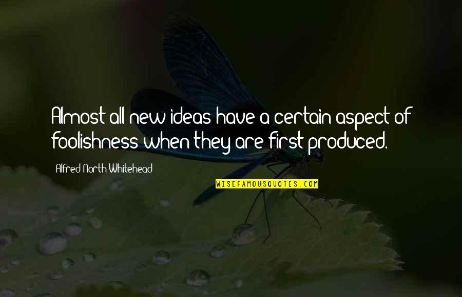 Lolengs Quotes By Alfred North Whitehead: Almost all new ideas have a certain aspect