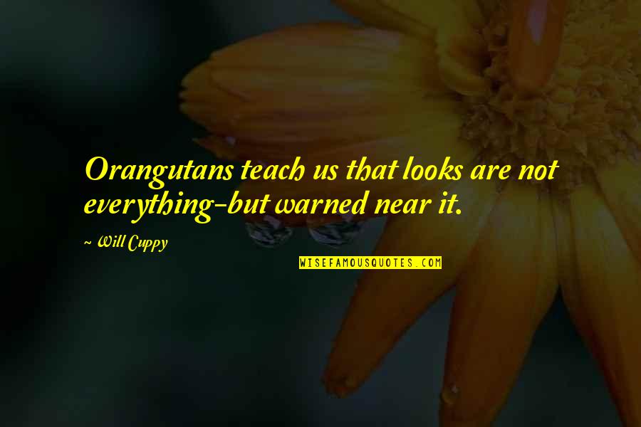 Lombino Quotes By Will Cuppy: Orangutans teach us that looks are not everything-but