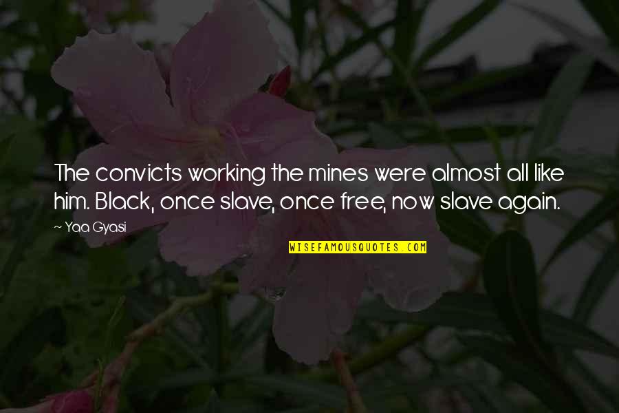 Lonceng Gereja Quotes By Yaa Gyasi: The convicts working the mines were almost all Lonceng Gereja Quotes By Yaa Gyasi: The convicts working the mines were almost all