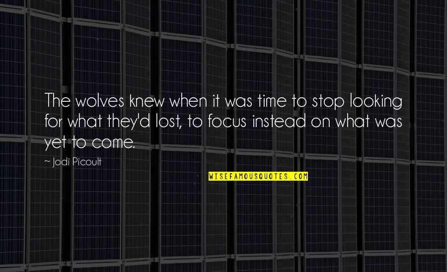 Lone Wolves Quotes By Jodi Picoult: The wolves knew when it was time to Lone Wolves Quotes By Jodi Picoult: The wolves knew when it was time to