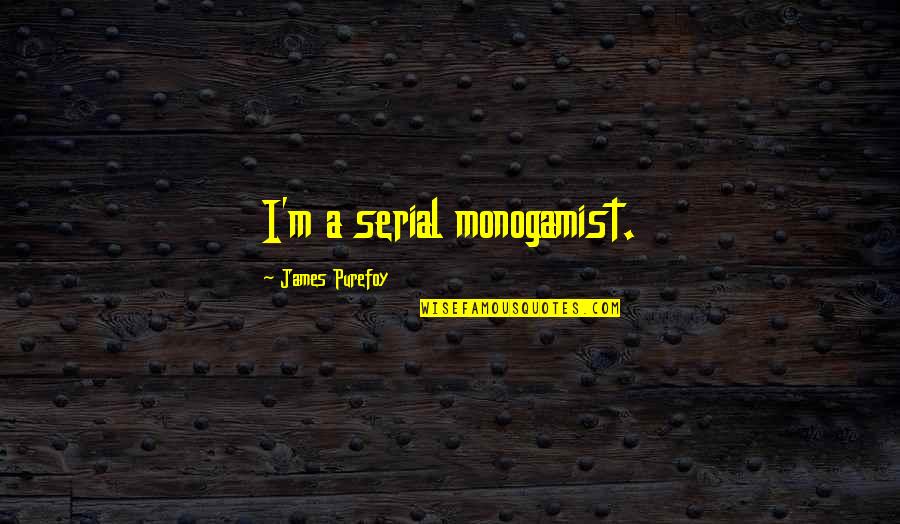 Lonelier In A Sentence Quotes By James Purefoy: I'm a serial monogamist.