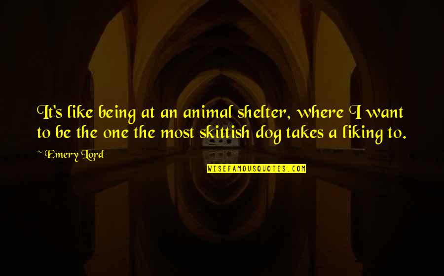 Loneliness And Hurt Quotes By Emery Lord: It's like being at an animal shelter, where