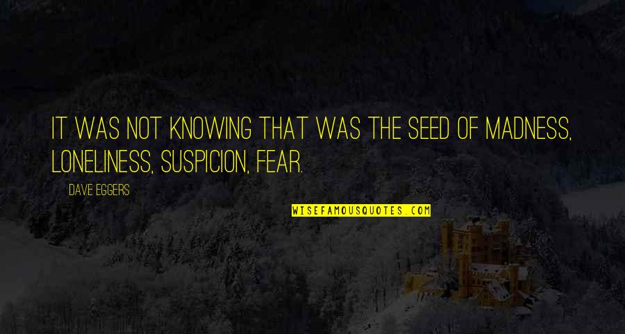 Loneliness Is Best Quotes By Dave Eggers: It was not knowing that was the seed