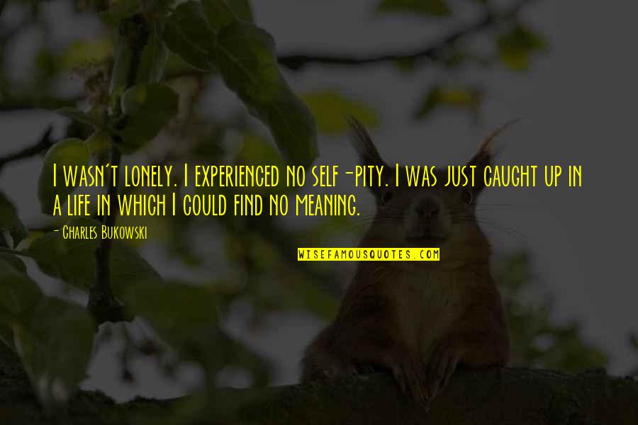 Lonely Life Quotes By Charles Bukowski: I wasn't lonely. I experienced no self-pity. I