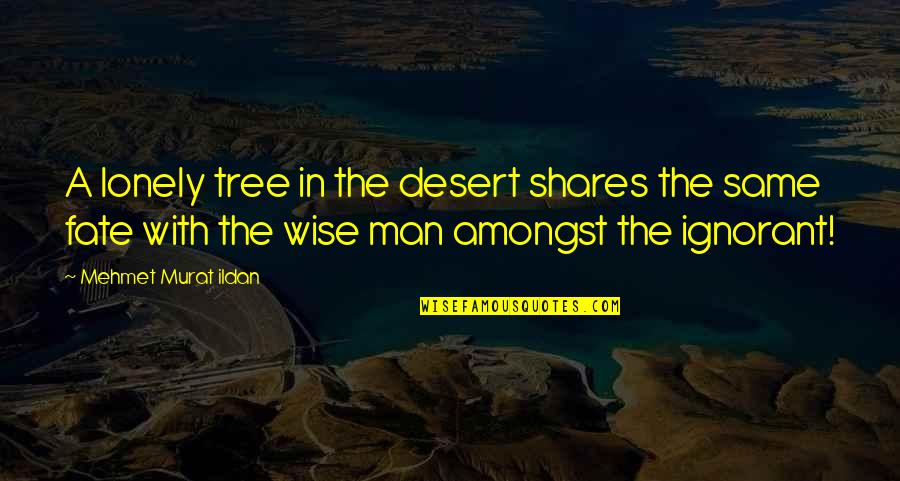 Lonely Man Quotes By Mehmet Murat Ildan: A lonely tree in the desert shares the