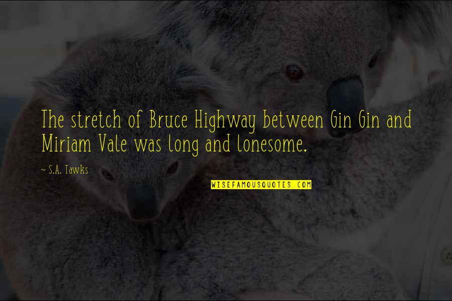 Lonesome Quotes By S.A. Tawks: The stretch of Bruce Highway between Gin Gin