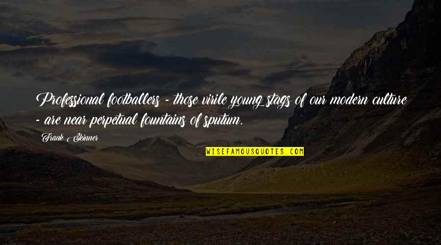 Lonesomeness Quotes By Frank Skinner: Professional footballers - those virile young stags of