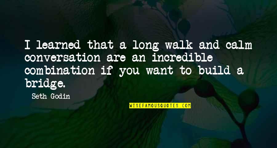 Long Bridge Quotes By Seth Godin: I learned that a long walk and calm