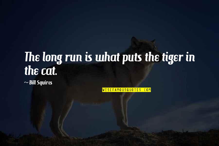 Long Cat Quotes By Bill Squires: The long run is what puts the tiger