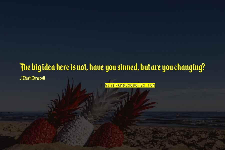 Long Confidence Quotes By Mark Driscoll: The big idea here is not, have you Long Confidence Quotes By Mark Driscoll: The big idea here is not, have you