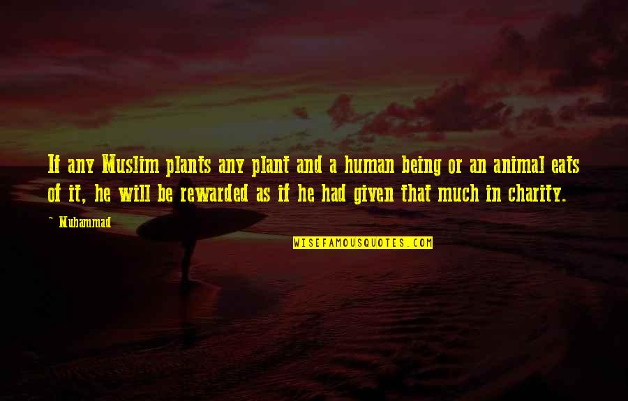 Long Depression Quotes By Muhammad: If any Muslim plants any plant and a Long Depression Quotes By Muhammad: If any Muslim plants any plant and a