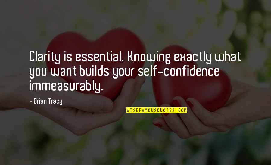 Long Distance Relationship Quotes By Brian Tracy: Clarity is essential. Knowing exactly what you want