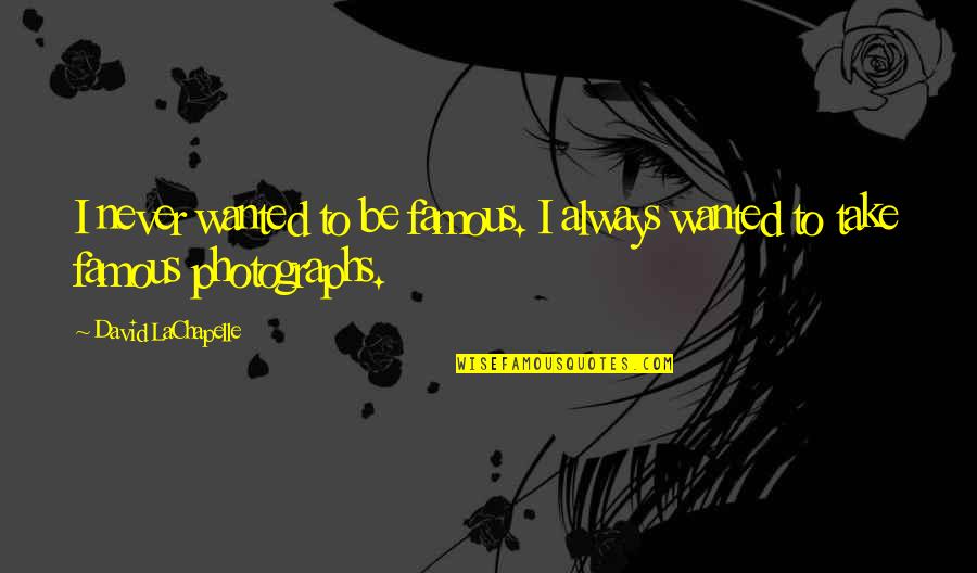 Long Distance Relationships Ending Quotes By David LaChapelle: I never wanted to be famous. I always Long Distance Relationships Ending Quotes By David LaChapelle: I never wanted to be famous. I always
