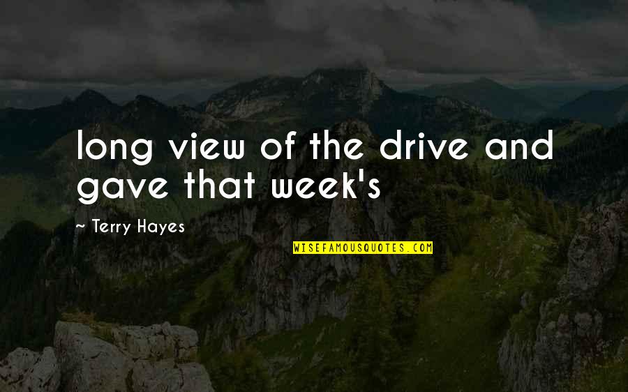 Long Drive Quotes By Terry Hayes: long view of the drive and gave that