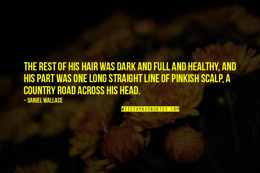 Long Hair Quotes By Daniel Wallace: The rest of his hair was dark and