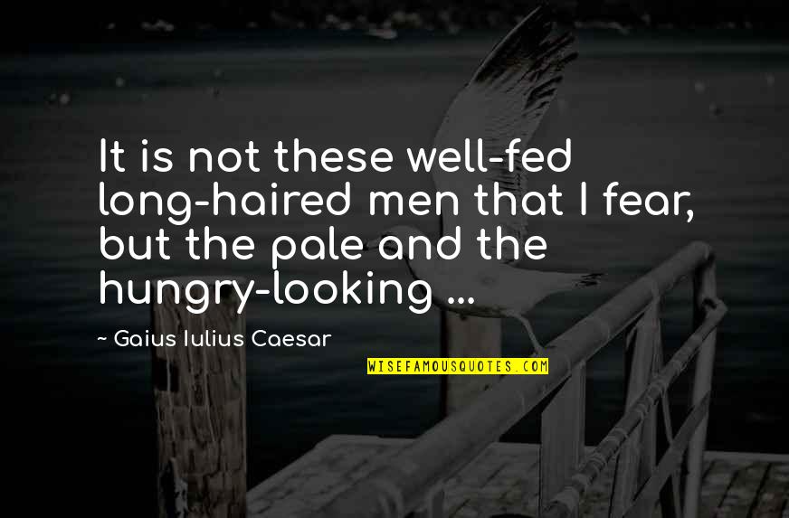 Long Inspirational Quotes By Gaius Iulius Caesar: It is not these well-fed long-haired men that