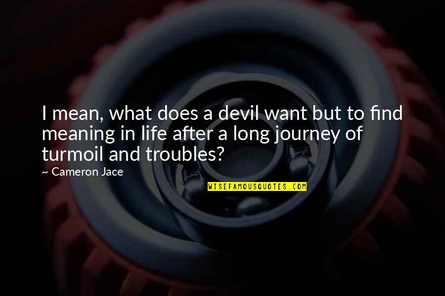 Long Journey Of Life Quotes By Cameron Jace: I mean, what does a devil want but