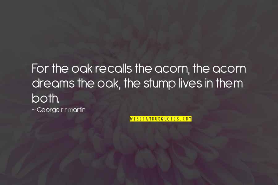 Long Lasting Happiness Quotes By George R R Martin: For the oak recalls the acorn, the acorn