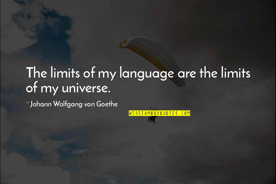 Long Lasting Relationship Quotes By Johann Wolfgang Von Goethe: The limits of my language are the limits