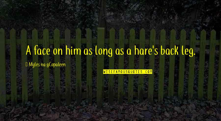 Long Leg Quotes By Myles Na GCopaleen: A face on him as long as a